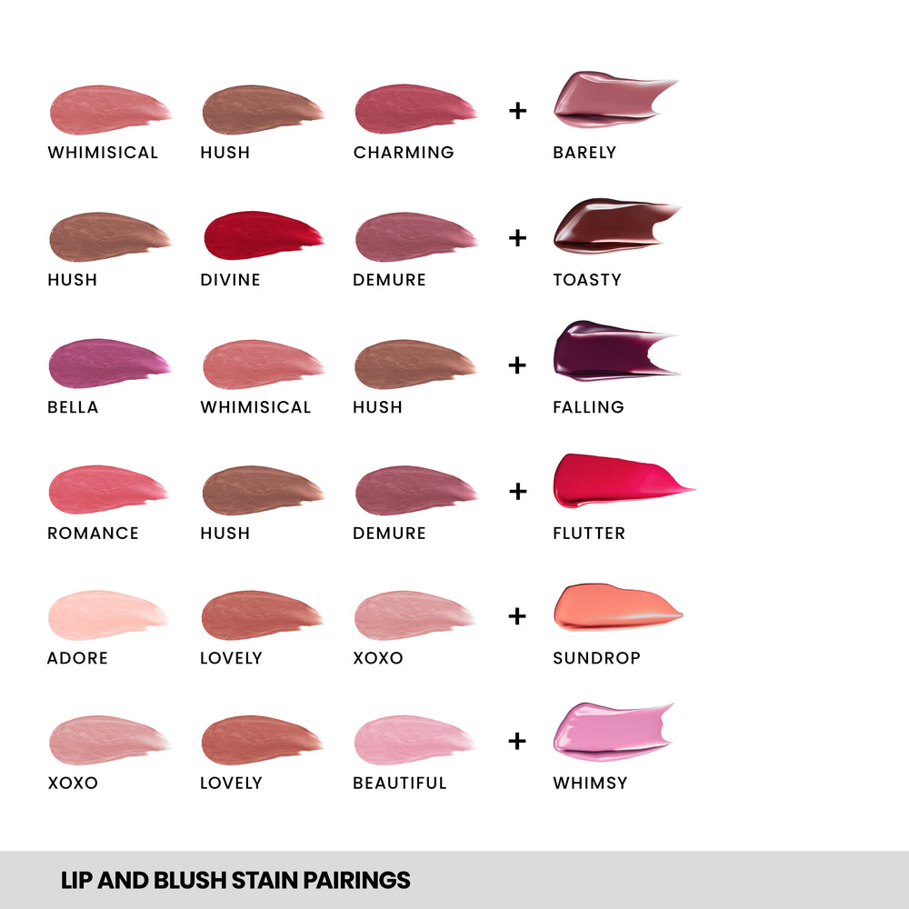 Lip and Blush Stain Set – WONDERSKIN